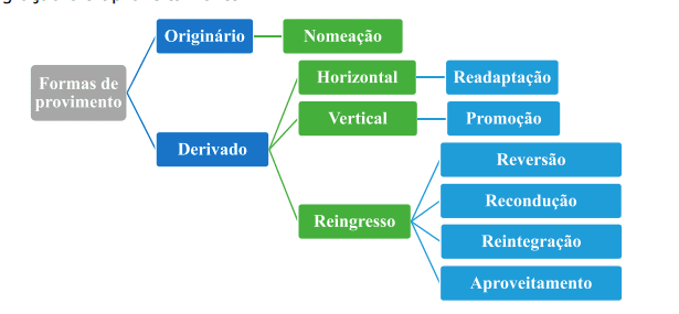 Lei 8.112/90: formas de provimento