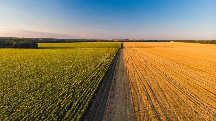 Defesa Agropecuária: Resumo CNU