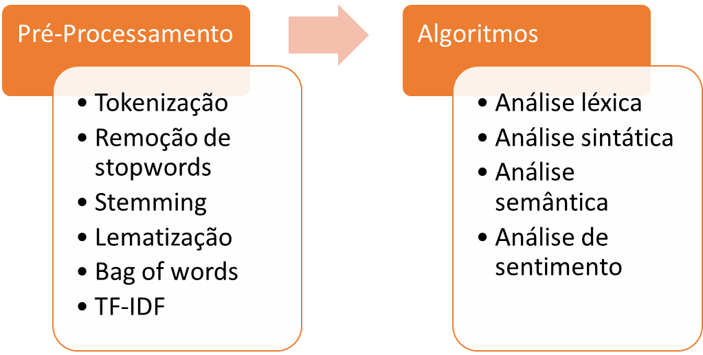 Figura 1 - Funcionamento do Processamento de Linguagem Natural.