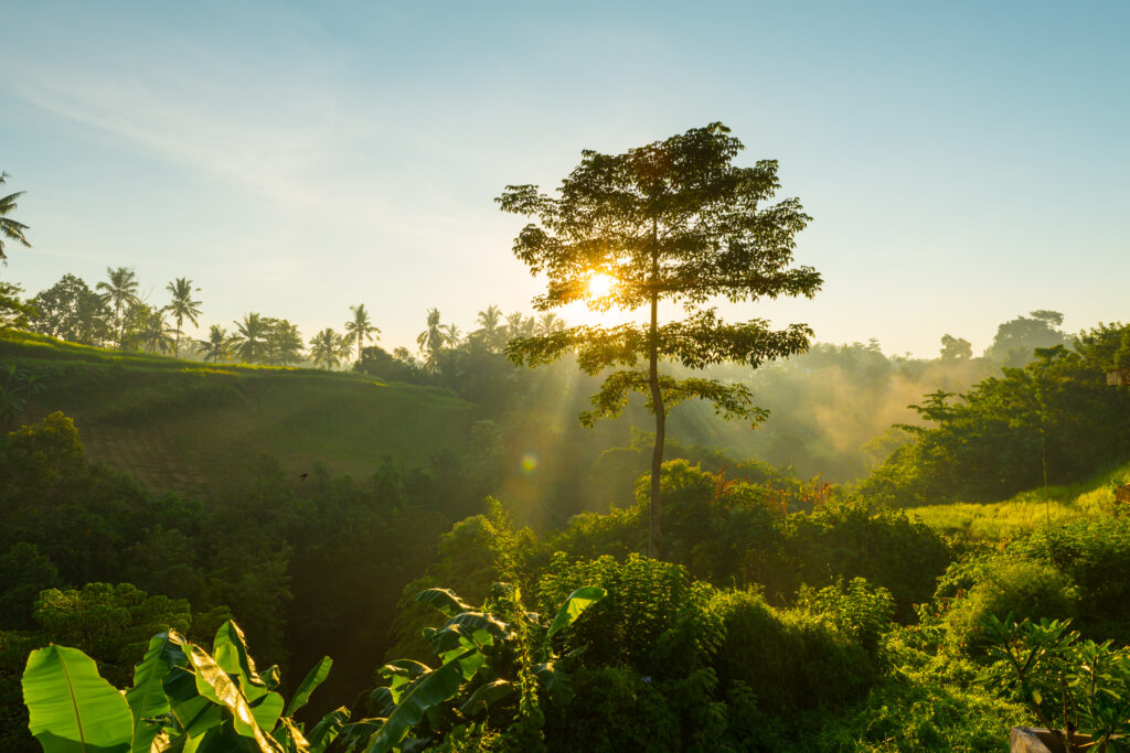 Política Nacional de Educação Ambiental - Lei nº 9.795/99