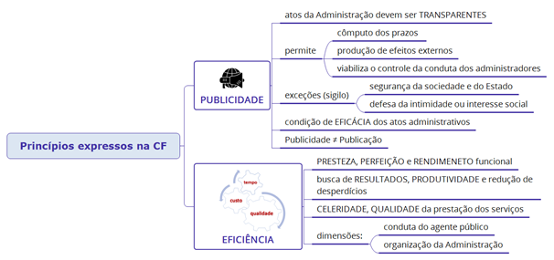 princípios constitucionais, administração pública, Estado.