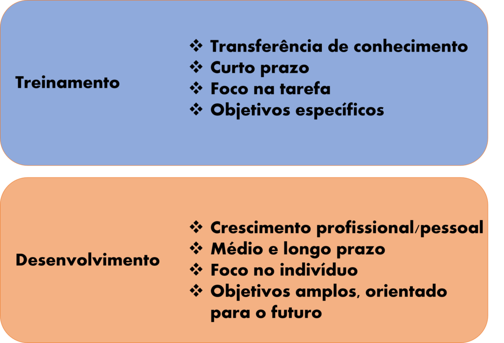 resumo treinamento e desenvolvimento