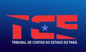 Contabilidade de Custos para o TCE-PA