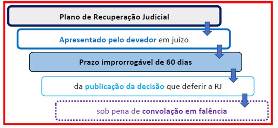 Recuperação Judicial para SEFAZ-SP: Direito Empresarial