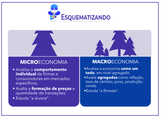 Introdução à Macroeconomia para SEFAZ-SP