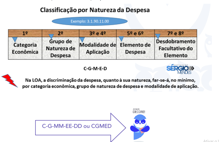 classificação por natureza da despesa