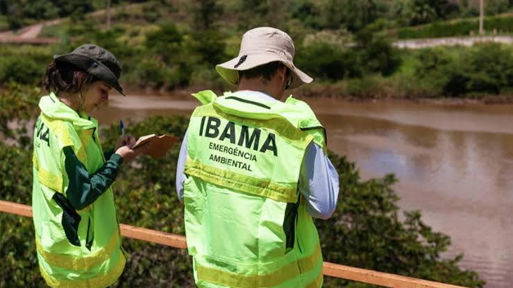 IBAMA: Afinal, como é a carreira de Analista Ambiental?