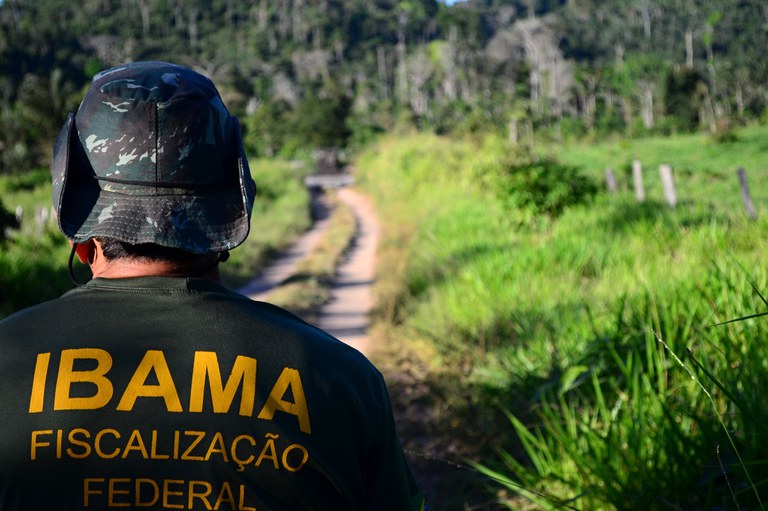 Concurso Ibama: atribuições do órgão