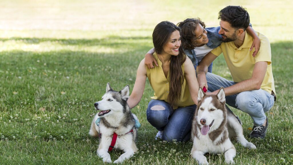 reforma do código muda o regime jurídico dos animais